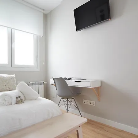 Concha Brand New & Style San Sebastián