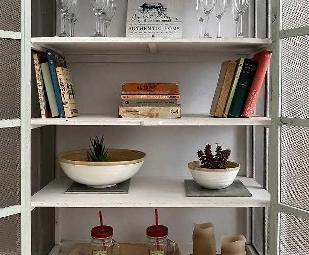 Concha Brand New & Style * San Sebastián