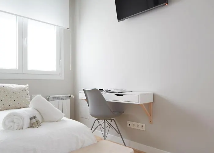 Concha Brand New & Style San Sebastián