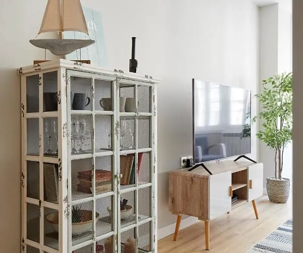 Concha Brand New & Style San Sebastián